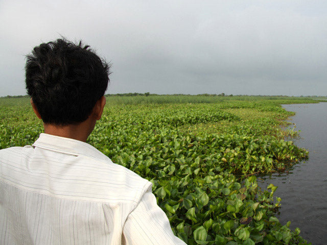 Weaving Dreams: Durrie India's Journey Towards Sustainable Home Textiles