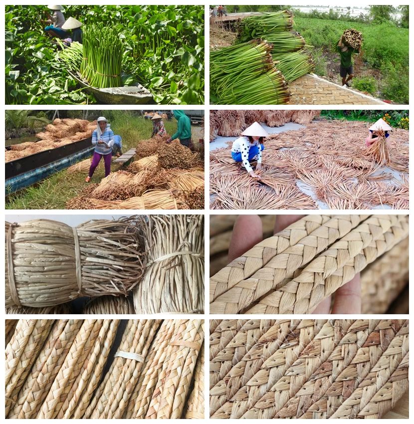 The Benefits of Using Water Hyacinth in Handmade Rugs and Carpets